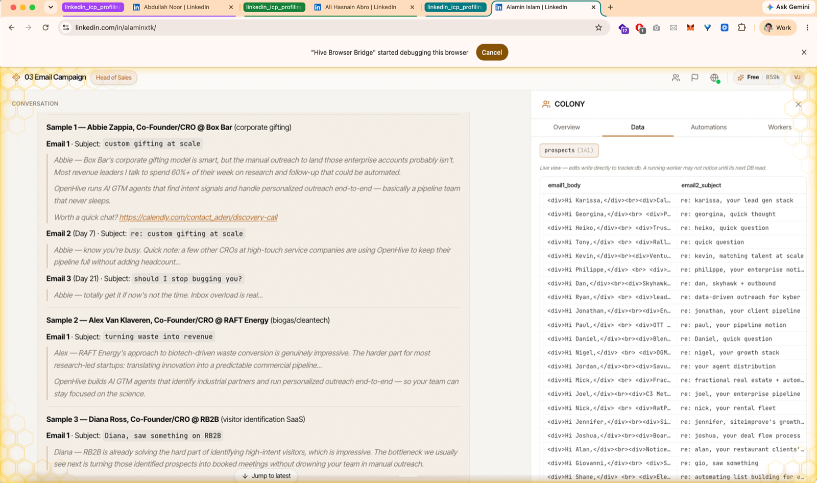 Drip Email Campaign - screen 2